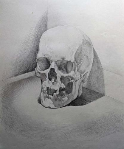 Skull