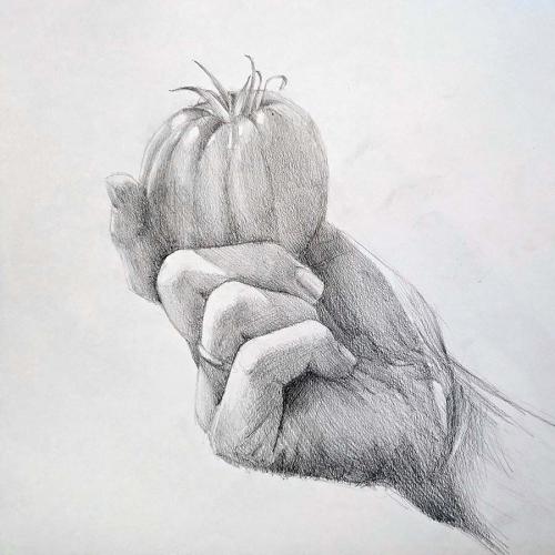 Hand Study